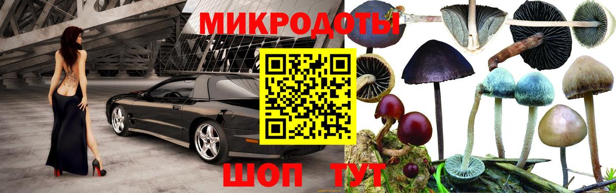 Псилоцибиновые грибы MAGIC MUSHROOMS  Галлюциногенные грибы Psilocybe  Вход с VPN  Комсомольск-на-Амуре 